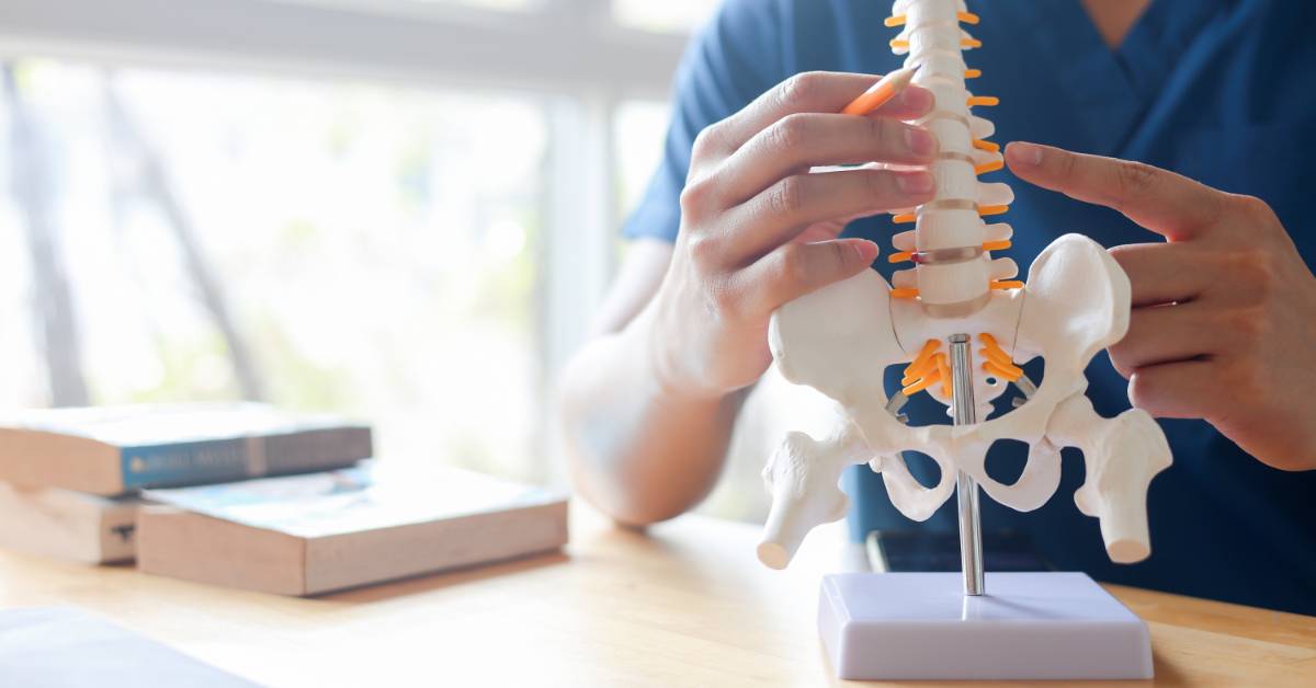 Medical professional points to the lower spine on an anatomical model of the pelvis and spinal column.